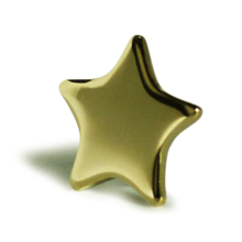 Gold Star Badge School Rewards
